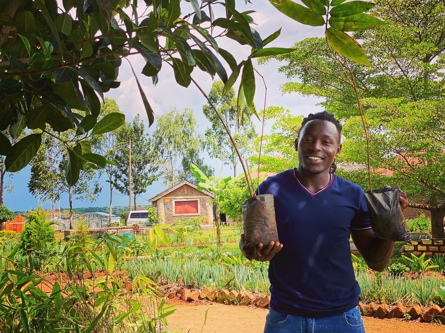 Kintu Augustine holding bamboo seedlings against a lush green backdrop, symbolizing sustainable growth and environmental stewardship.
