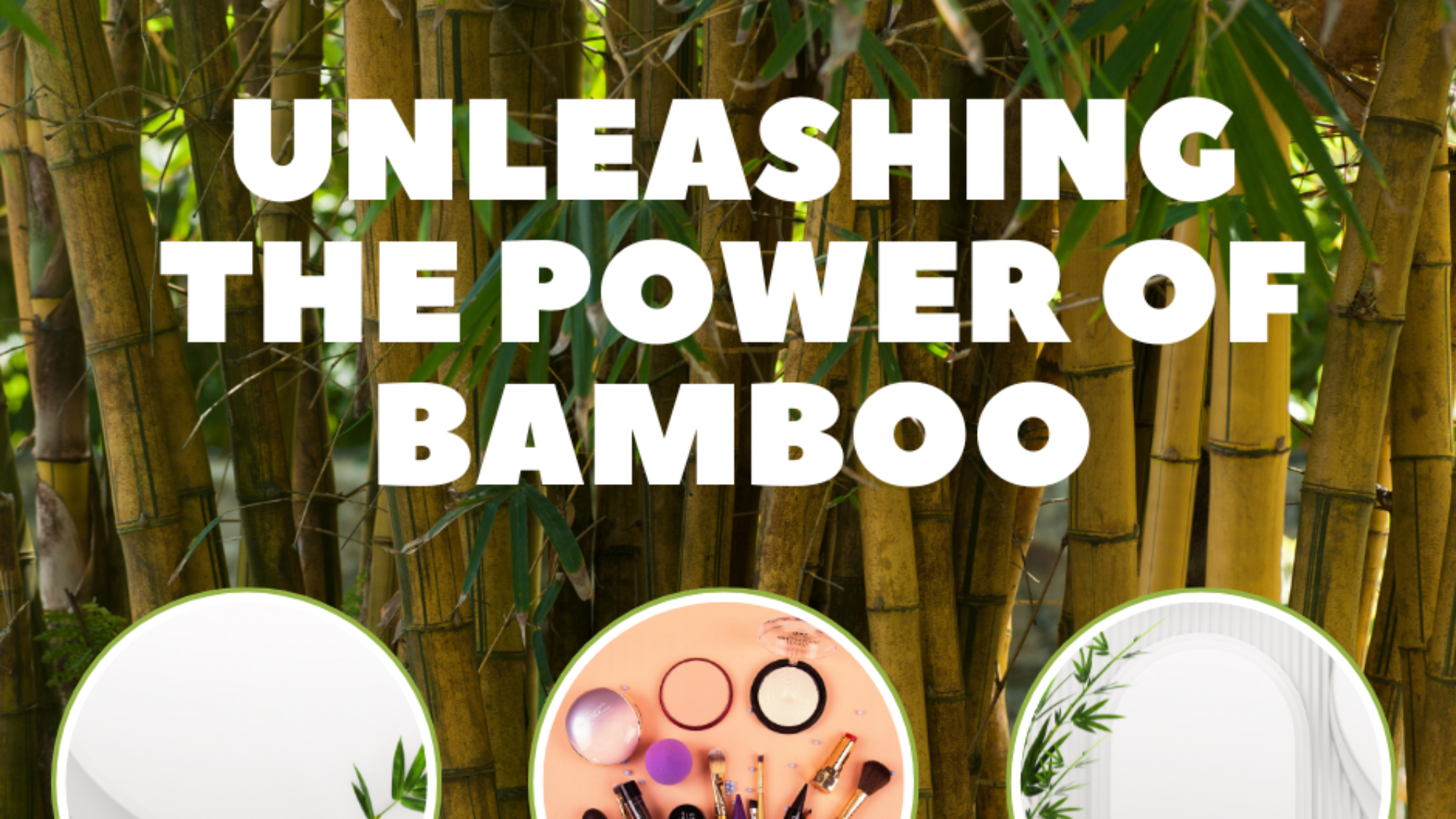 Unleashing the Power of Bamboo
